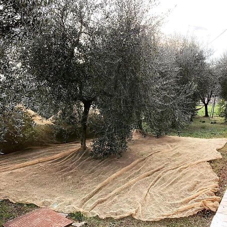 Il Quartierino Lucignano Esterno foto