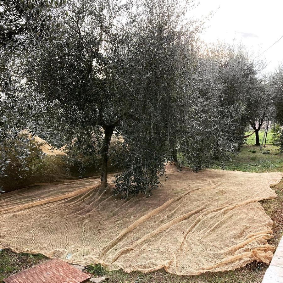 Il Quartierino Lucignano Esterno foto